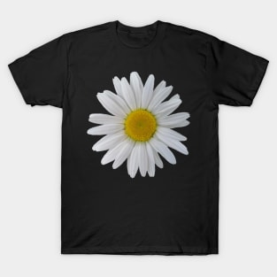 wonderful daisy flower, blooming daisy, blooms T-Shirt